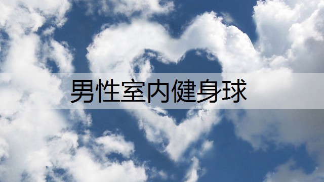 男性室内健身球