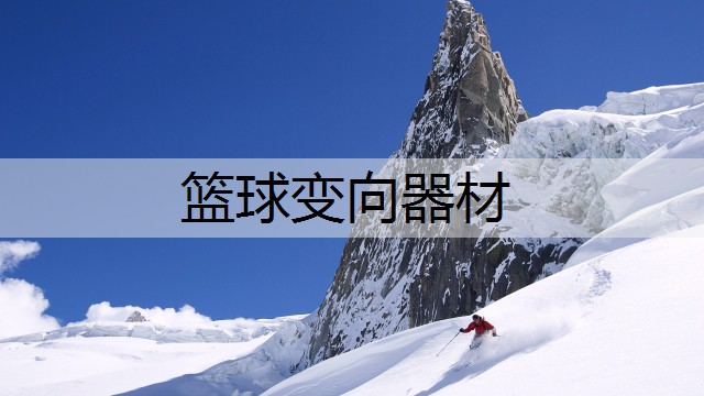 篮球变向器材