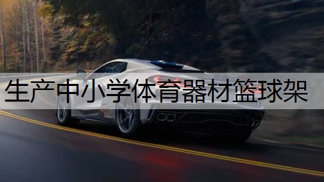生产中小学体育器材篮球架