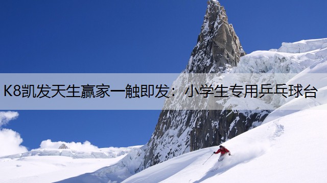 K8凯发天生赢家一触即发：小学生专用乒乓球台