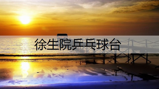 徐生院乒乓球台