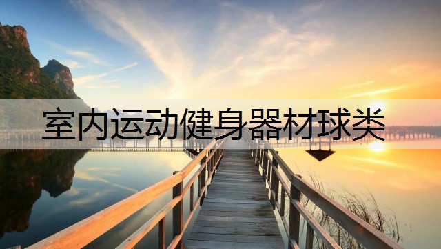 室内运动健身器材球类
