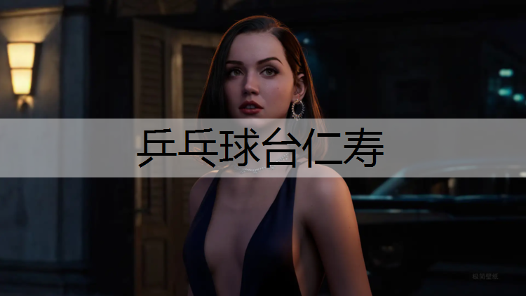 乒乓球台仁寿