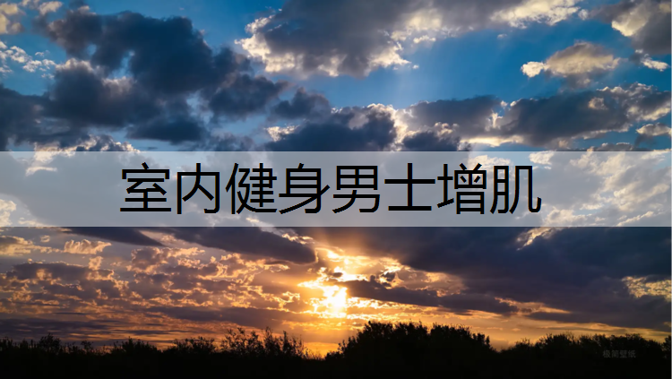 室内健身男士增肌