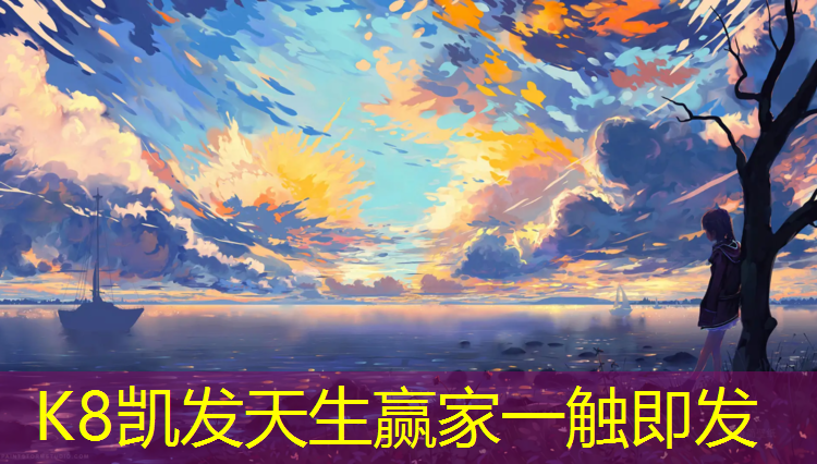 K8凯发中国官方网站：专业网球网