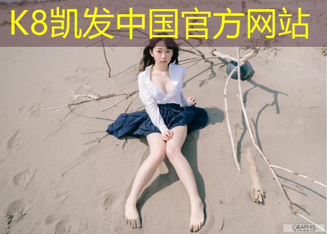 K8凯发国际官方网站：室外塑胶跑道图集