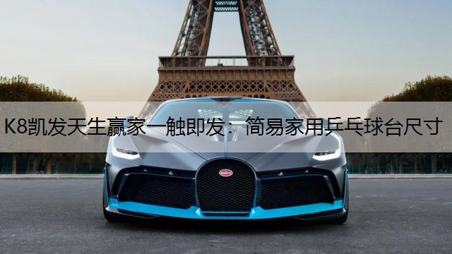 简易家用乒乓球台尺寸