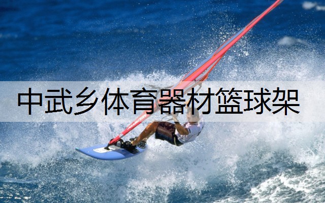 中武乡体育器材篮球架