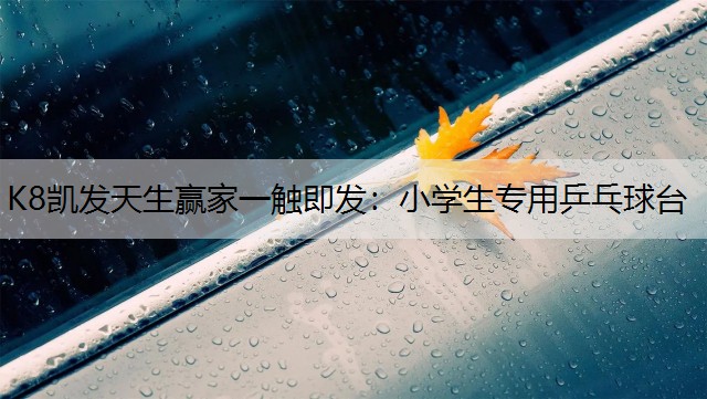 小学生专用乒乓球台