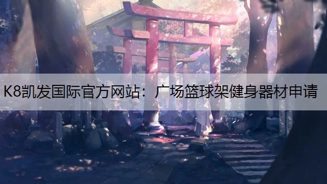 广场篮球架健身器材申请