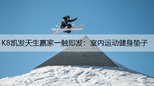 室内运动健身垫子