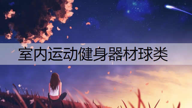 室内运动健身器材球类