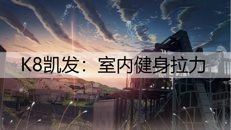 室内健身拉力