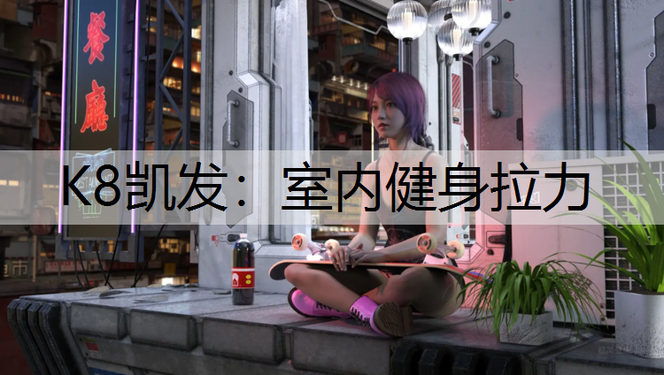 室内健身拉力