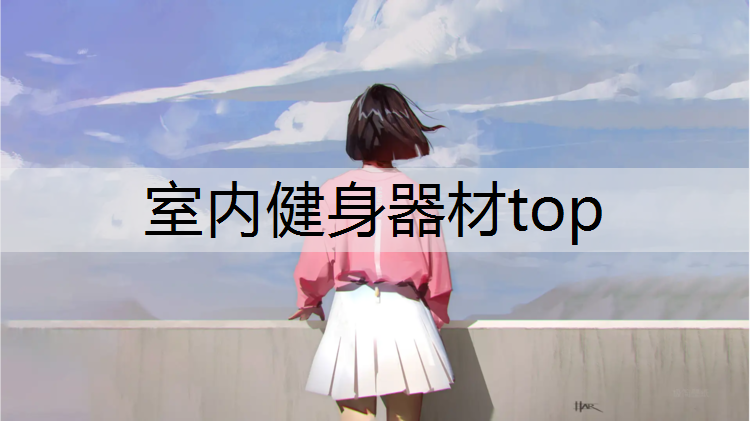 室内健身器材top