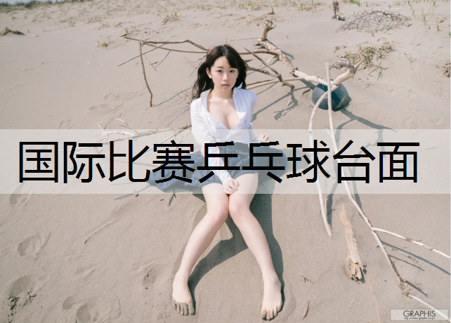 国际比赛乒乓球台面