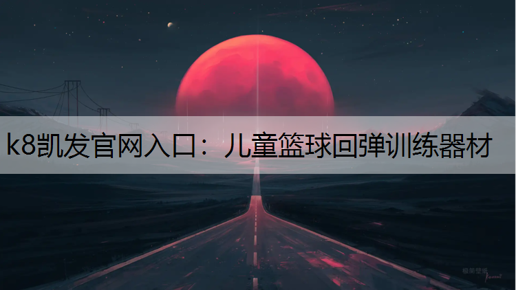 儿童篮球回弹训练器材