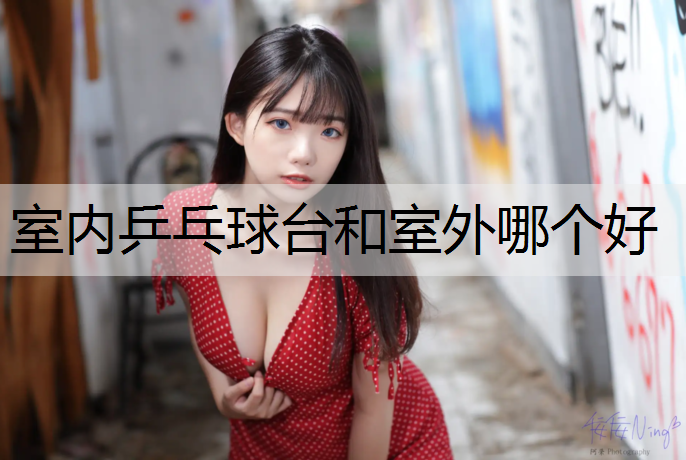 室内乒乓球台和室外哪个好