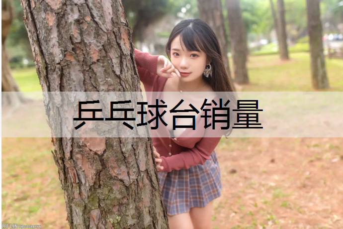 乒乓球台销量