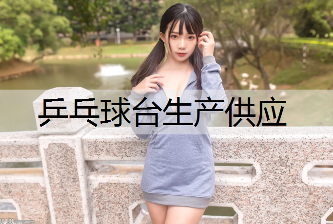 乒乓球台生产供应