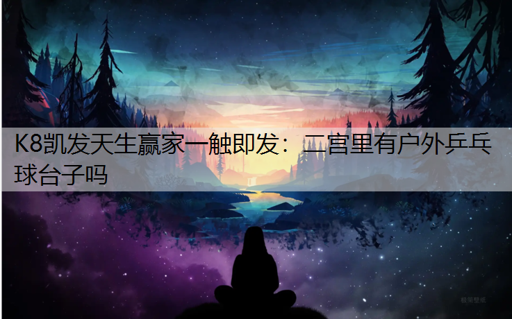二宫里有户外乒乓球台子吗